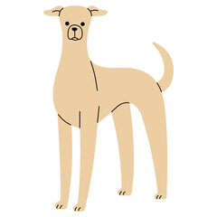 Greyhound cute, png illustration.