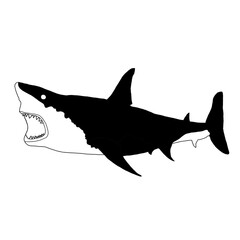 Black And White Shark Illustration | Shark Drawing | Shark Clip Art
