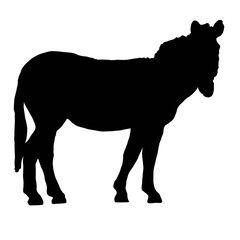 Black Zebra Drawing | Wild Animal | Zebra Clip Art