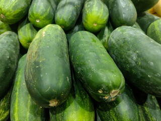 cucumbers in the market
