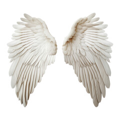 Fototapeta premium angel wings isolated on transparent background cutout