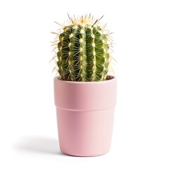 Vibrant Green Cactus in a Soft Pink Pot Isolated on White Background. Minimalist Home Decor and Botany Concept Display, Ideal for Modern Living Spaces. AI