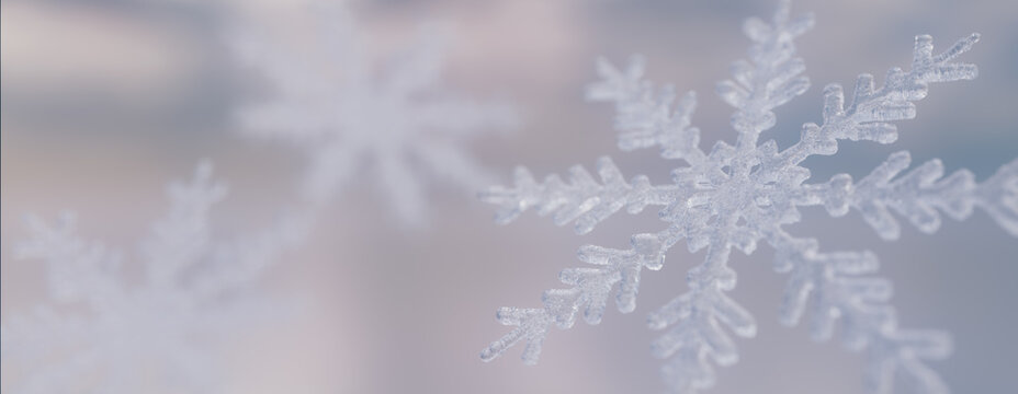 Winter Wallpaper with Natural Crystalline Snowflake. Festive Banner with copy-space.