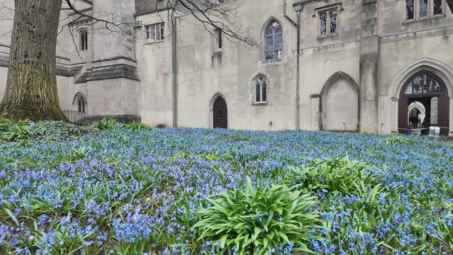 Washington National Cathedral