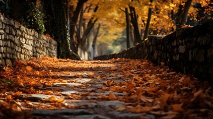 A pathway strewn with fallen leaves