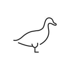 Duck icon. Represents a duck, commonly found in water-rich environments and known for its distinctive quacking. Used in contexts related to wildlife, nature, agriculture. Vector illustration 