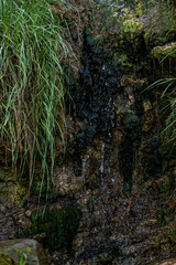 Stream in the mountain