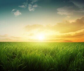 Tranquil Sunrise Over Lush Green Agricultural Field, Nature Background