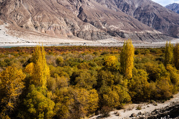 A serene asphalt road winds through a colorful autumn landscape in the Himalayas, flanked by tall...