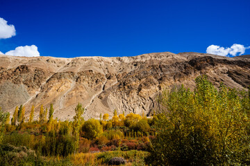A serene asphalt road winds through a colorful autumn landscape in the Himalayas, flanked by tall...