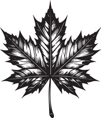 Naklejka premium black and white leaf