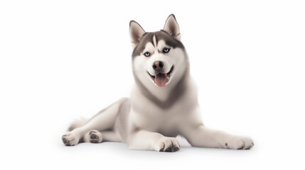 Radiant Afador Dog Poses with a Delightful Smile on White Background