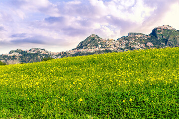 spring green valley with yellow flower field on foreground and beautiful mountains with blue...