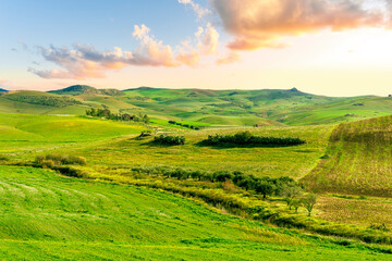 Obraz premium Beautiful landscape of green spring season field with salad grass, farm with garden and sunset or sunrise scenic sky