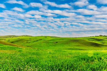 green spring hills with young grass and amazing growing fields and hills with beautiful bright cloudy sunset on background of rural landscape