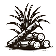 Sugar cane. Cane sugar. Stems. Vintage vector engraving illustration, emblem, logo, icon. isolated object, cut out