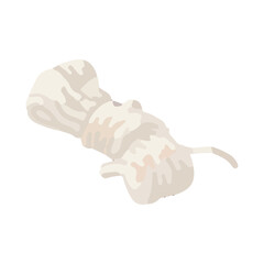 イラスト素材:しらたき。