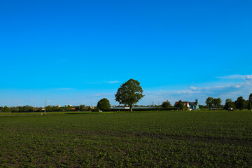 Feldmoching in munich bavaria, blue sky