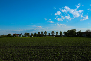 Feldmoching in munich bavaria, blue sky