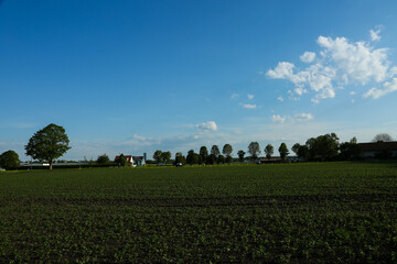 Feldmoching in munich bavaria, blue sky