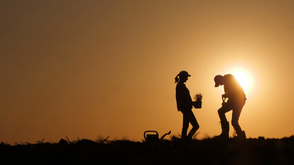 A couple of farmers plant seedlings in a field. Silhouettes against the backdrop of a picturesque sunset