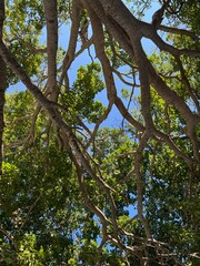 naturaleza al aire libre