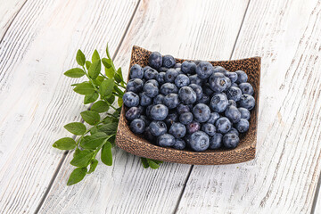Ripe sweet blueberry in the bowl