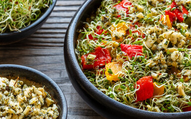 Close up view of alfalfa sprouts and roasted romano peppers salad with cashew nut and herbs dressing. On the right, alfalfa sprouts and cashew nut dressing in small bowls. Healthy lifestyle concept. 