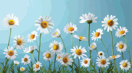 Beautiful chamomile flowers on color background Vector
