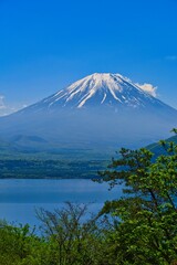 Fototapeta premium 本栖湖から見た富士山