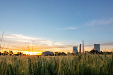 Fototapeta na wymiar The morning in a wheat field in the background a coal-fired power station at sunrise. Landscape shot of nature and industry at the Staudinger power plant, Hainburg, Bavaria, Germany