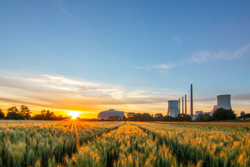 Fototapeta na wymiar The morning in a wheat field in the background a coal-fired power station at sunrise. Landscape shot of nature and industry at the Staudinger power plant, Hainburg, Bavaria, Germany