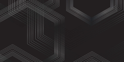 Abstract black background with hexagon shape gray lines and geometric design and modern grid vector .