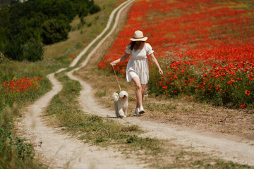 Fototapeta premium woman with dog. Happy woman walking with white dog the road along a blooming poppy field on a sunny day, She is wearing a white dress and a hat. On a walk with dog