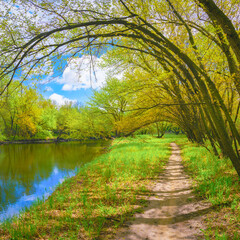 Sioux Falls South Dakota Walking Trail Landscape along the Big Sioux River at Parsly Park, tranquil woodlands with curving maple trees in the upper midwest of America