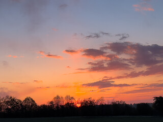 Fototapeta premium sunset in the field