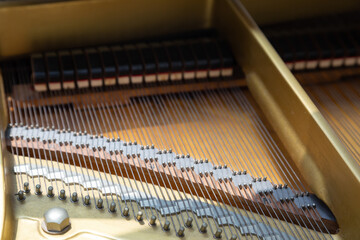 Piano strings held together by many pins. This can be seen when the top cover of the grand piano is...