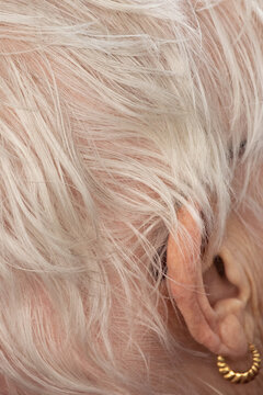 Cheveux gris