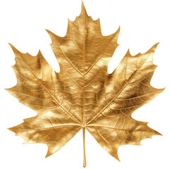 Gold maple leaf