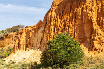 andscape at Praia da falesia. Albufeira . Algarve. Portugal.