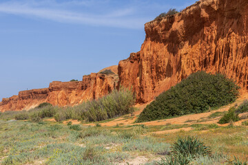 andscape at Praia da falesia. Albufeira . Algarve. Portugal.