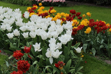 le plus beau jardin de flerus au pays bas Keukenhof