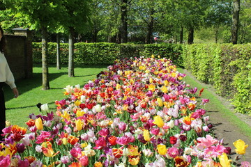 le plus beau jardin de fleurs au pays bas