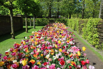 le plus beau jardin de fleurs au pays bas