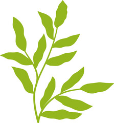 Obraz premium Tropical plant