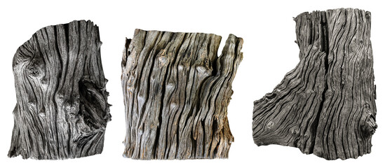 Collection set tree stump