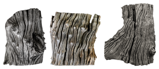 Collection set tree stump