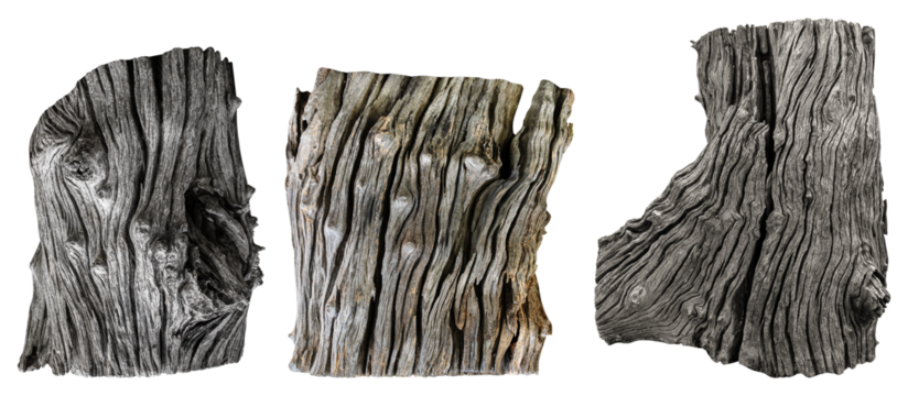 Collection set tree stump