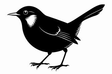 Wren silhouette on white background, Vector illustration, icon, svg, characters, Holiday t shirt, Hand drawn trendy Vector illustration, eagle silhouette