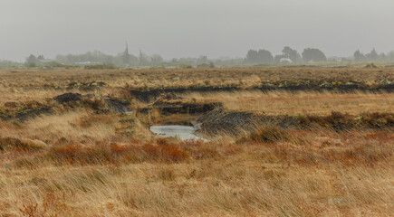 The bogs of Mogcullen where peat has been taken from